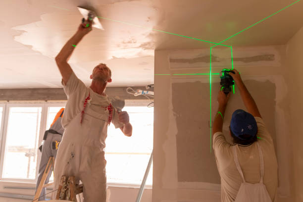 Best Drywall for Remodeling  in South Houston, TX