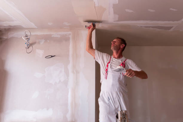 Best Drywall Crack Repair  in South Houston, TX